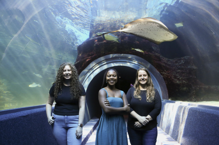 UCT’s trio of All-Atlantic Ocean Youth Ambassadors (from left) Kirstin Petzer, Thando Mazomba and Dr Marissa Brink-Hull, at the Two Oceans Aquarium.