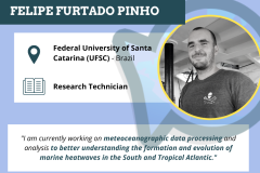 Felipe Furtado Pinho