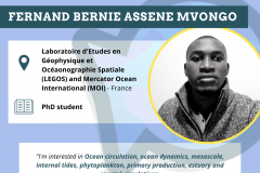 Fernand Bernie Assene Mvongo
