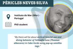 Péricles Neves Silva